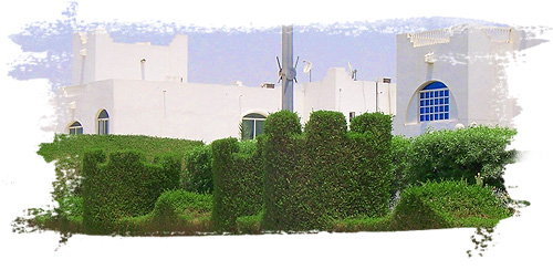 Gartengestaltung